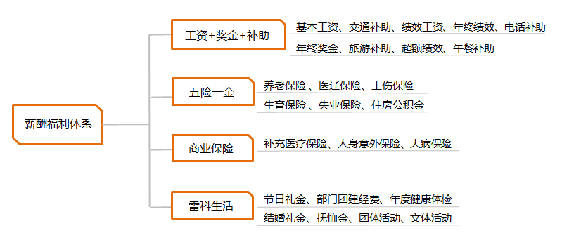 雷科防务薪酬福利